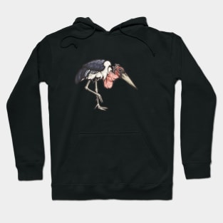 Marabou Stork Hoodie